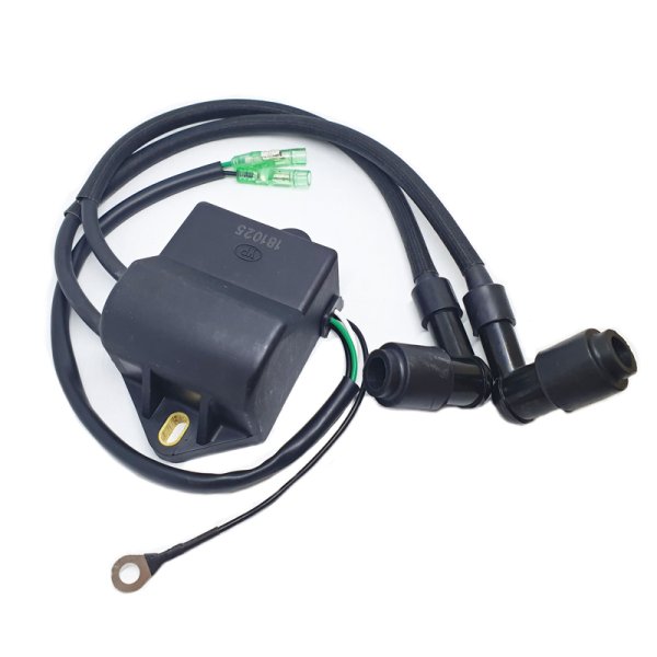 Блок управления зажиганием 9.8F-01.03.01.00