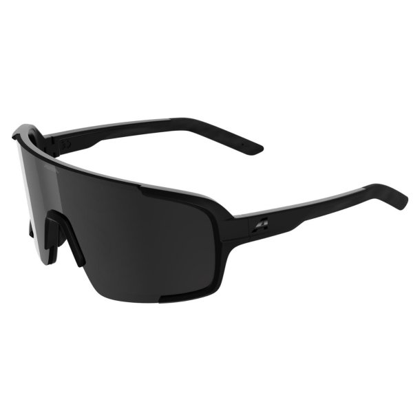 Очки солнцезащитные Alpina Lumin Black Matt/Black Cat.3