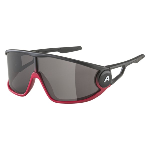 Очки солнцезащитные ALPINA Legend Black-Red Matt/Black Cat. 3 + Hydrophobic